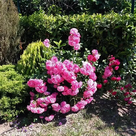 Sozopoli Hills 公寓 *