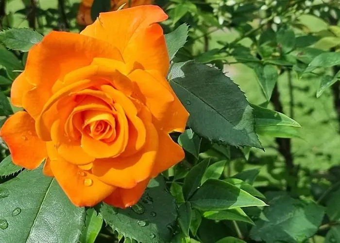 Lejlighed Sozopoli Hills Sozopol