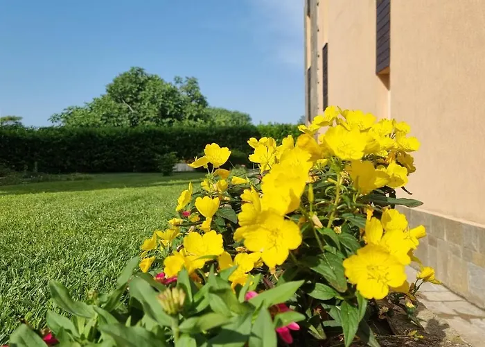 Sozopoli Hills Apartamento *